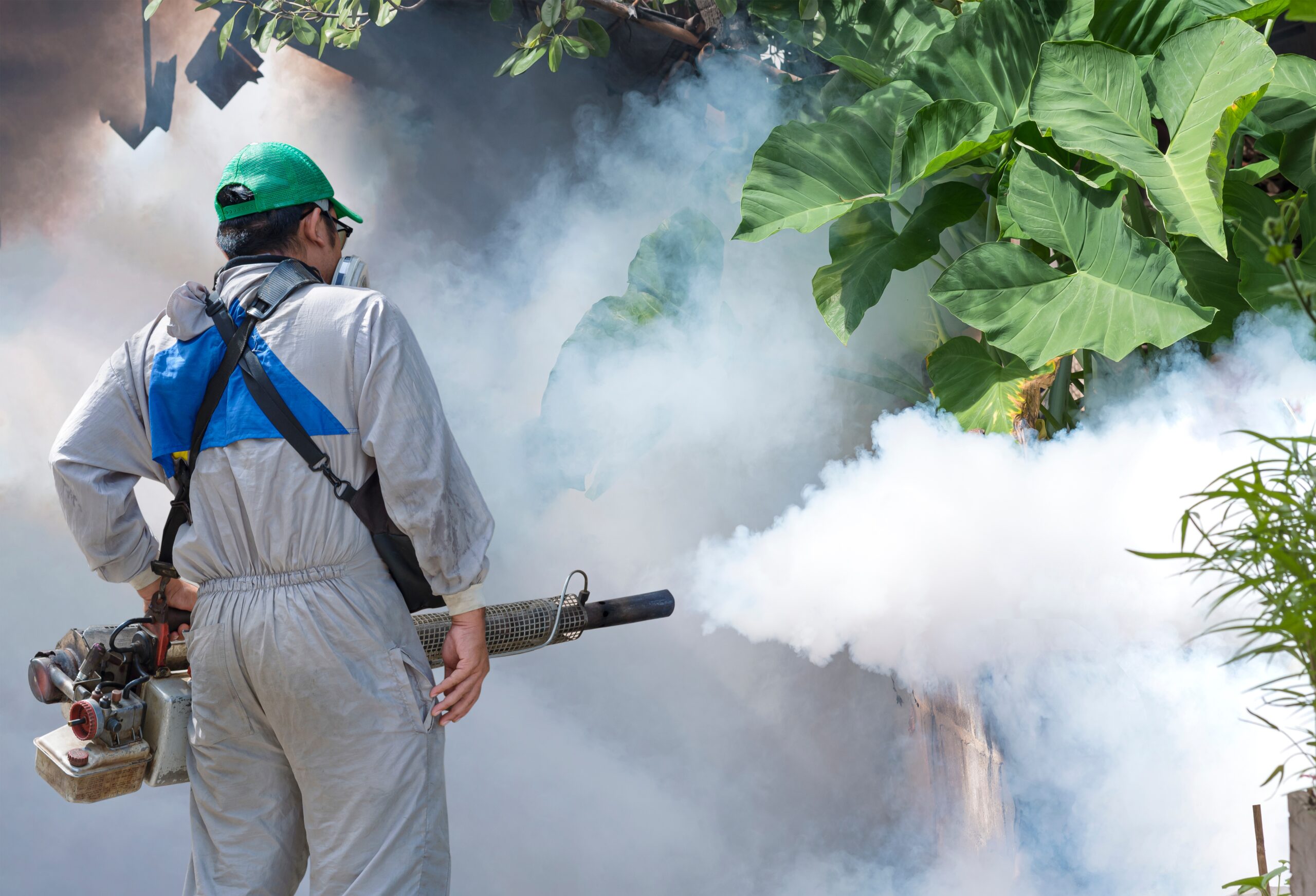 mosquito control services scaled